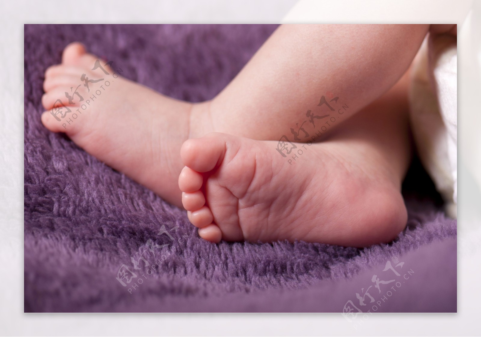 婴幼儿小脚板图片