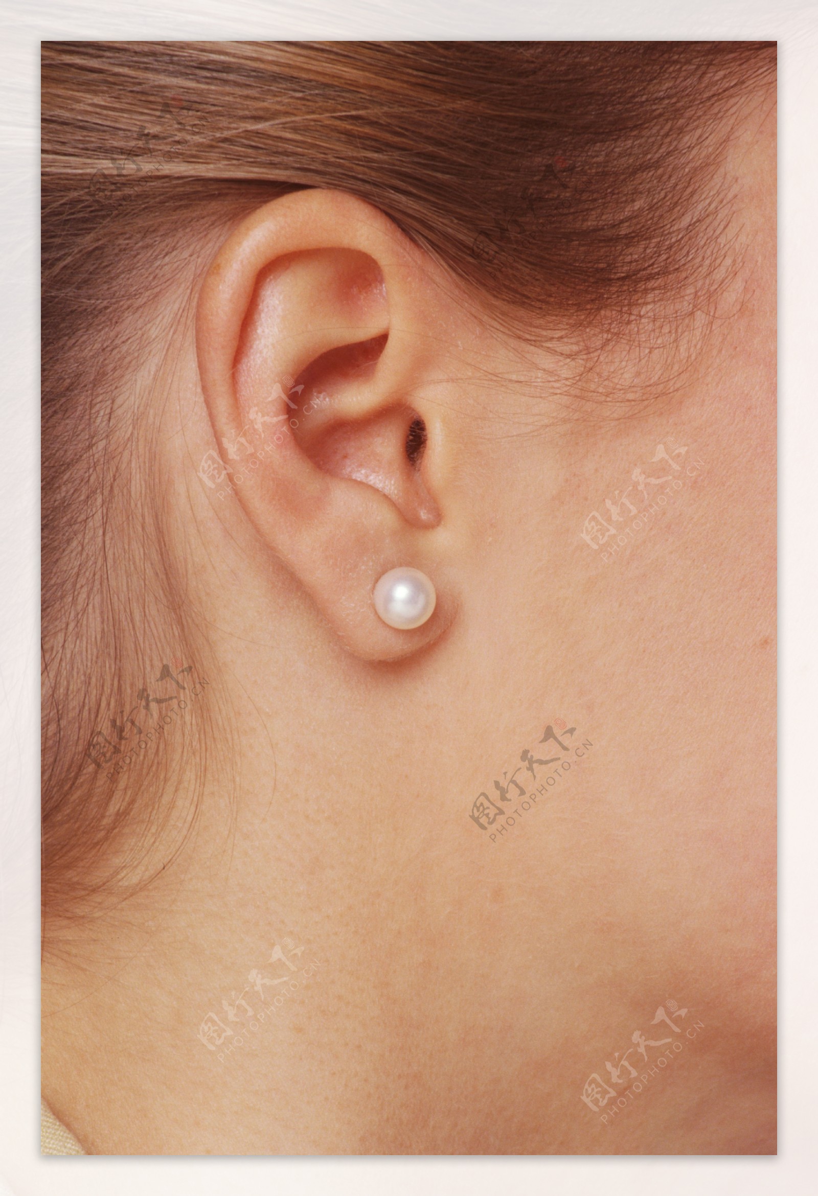戴耳钉的女人耳朵图片