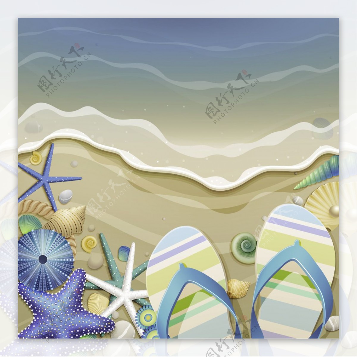 夏季沙滩海星背景