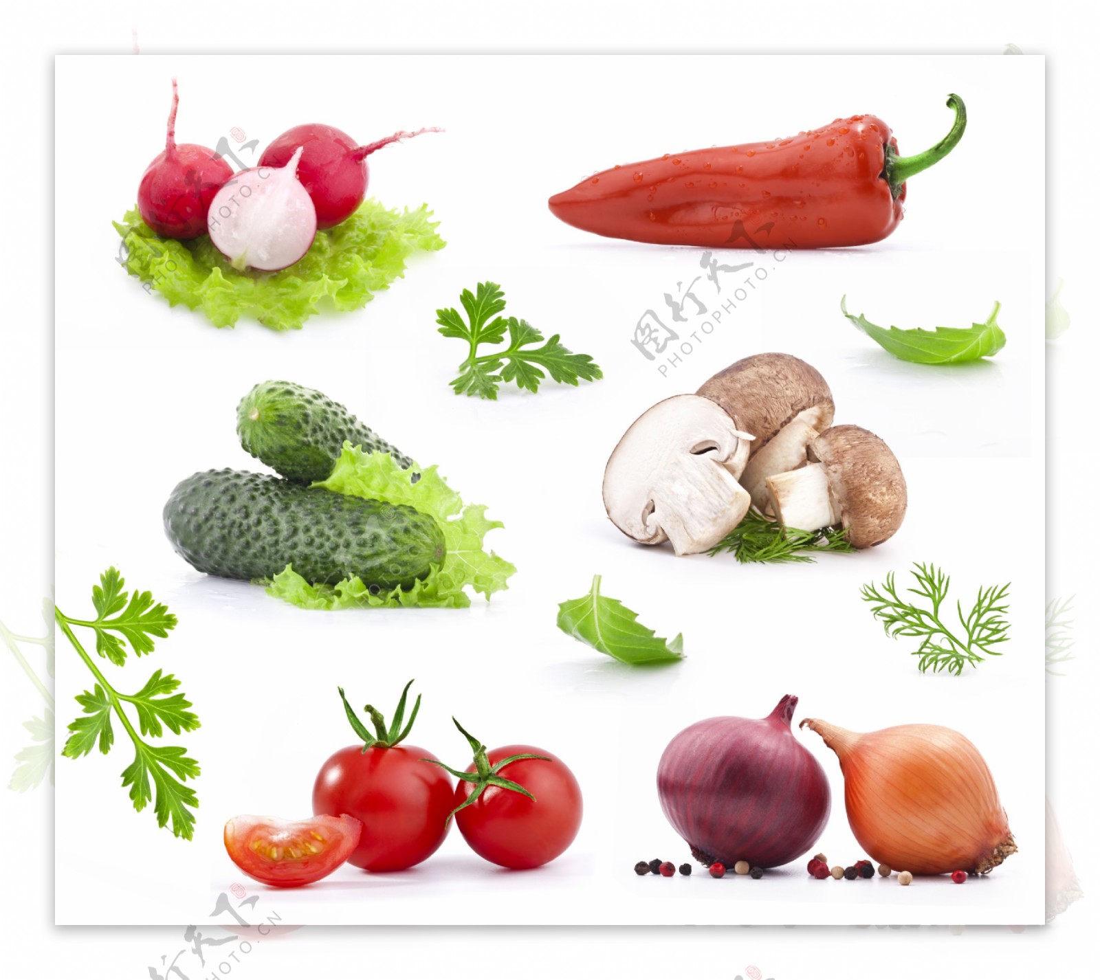 新鲜的各种蔬菜图片
