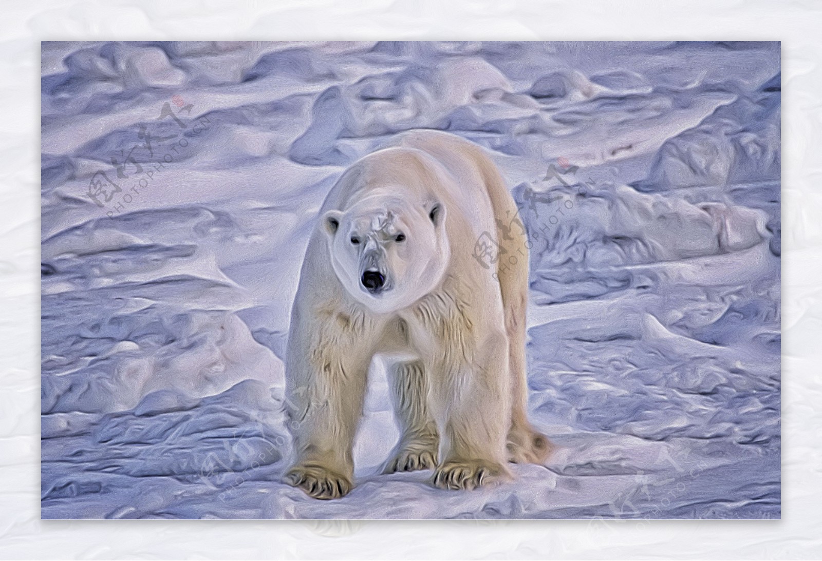 雪地的北极熊