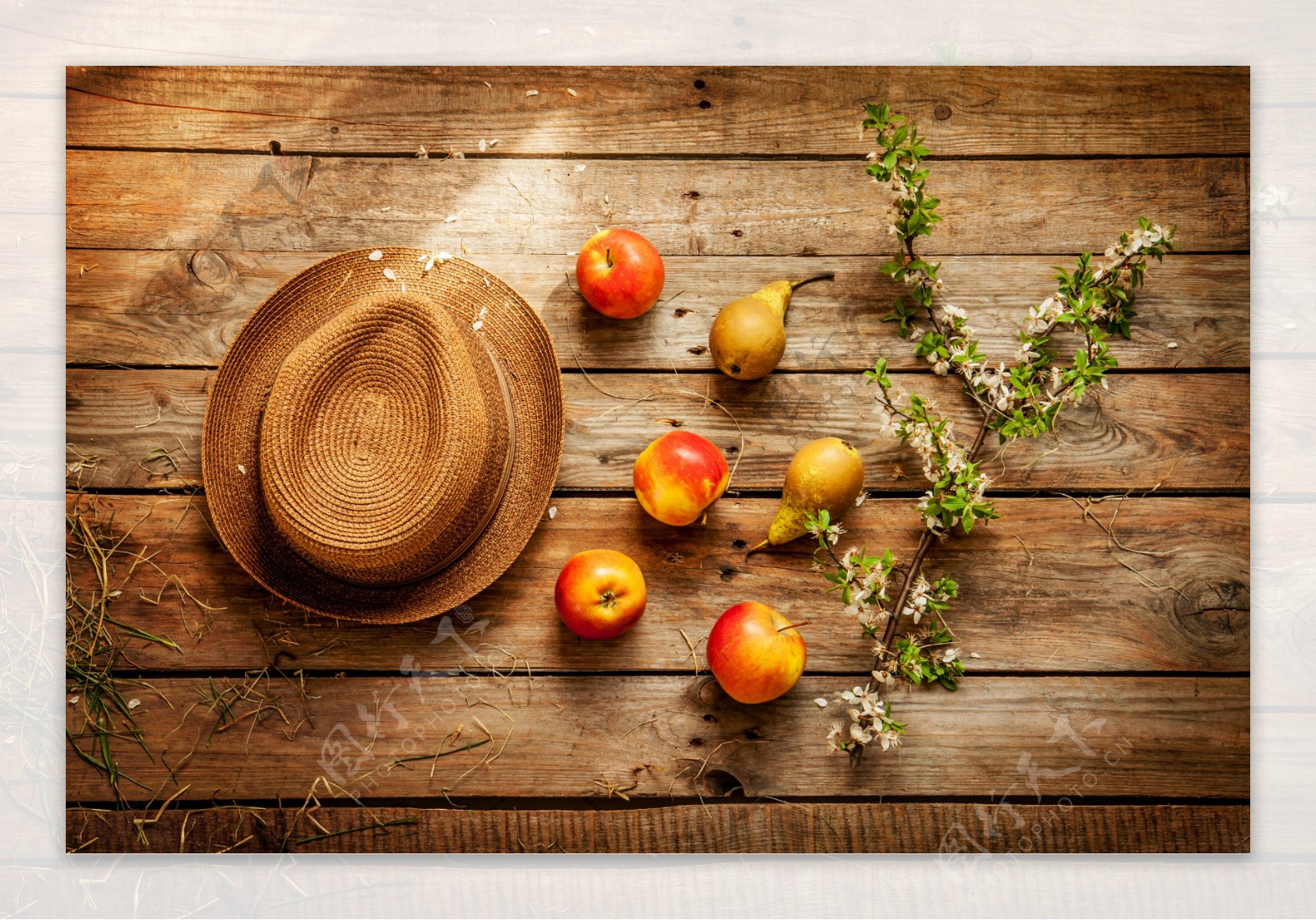 木板上的帽子水果图片