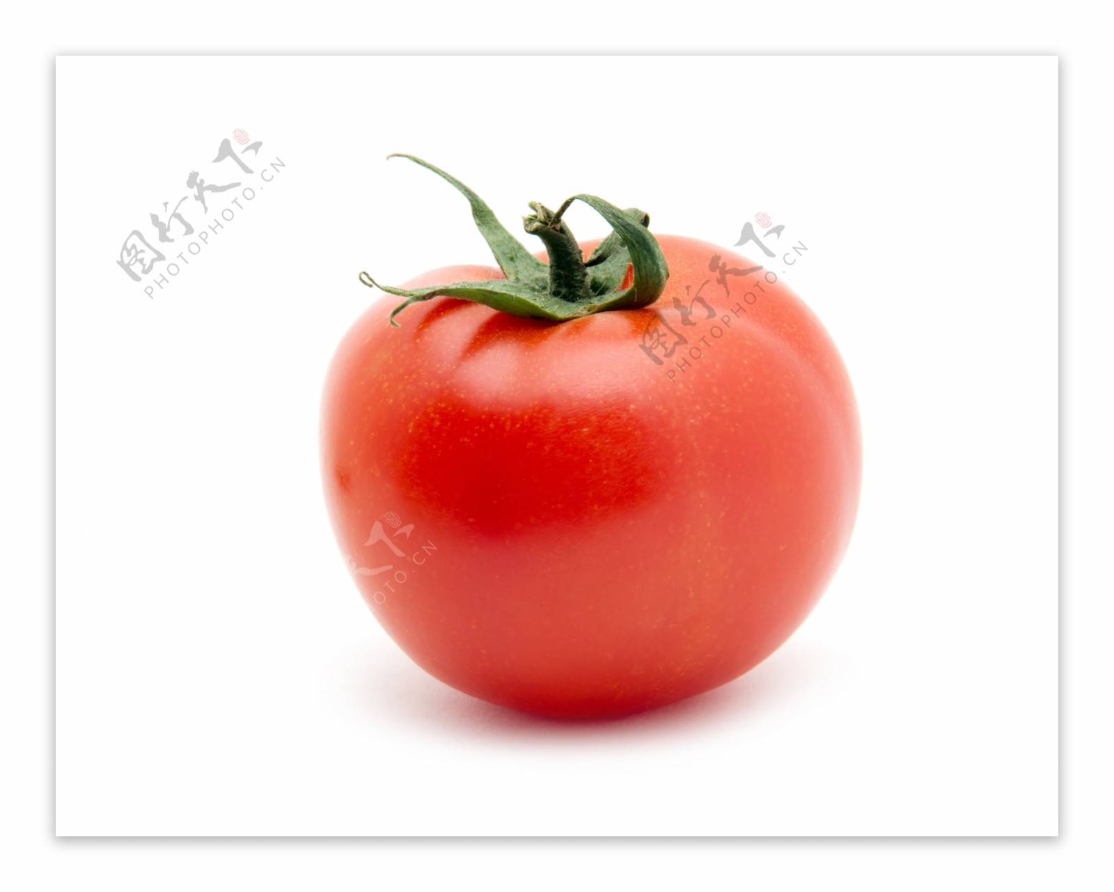 一个西红柿图片
