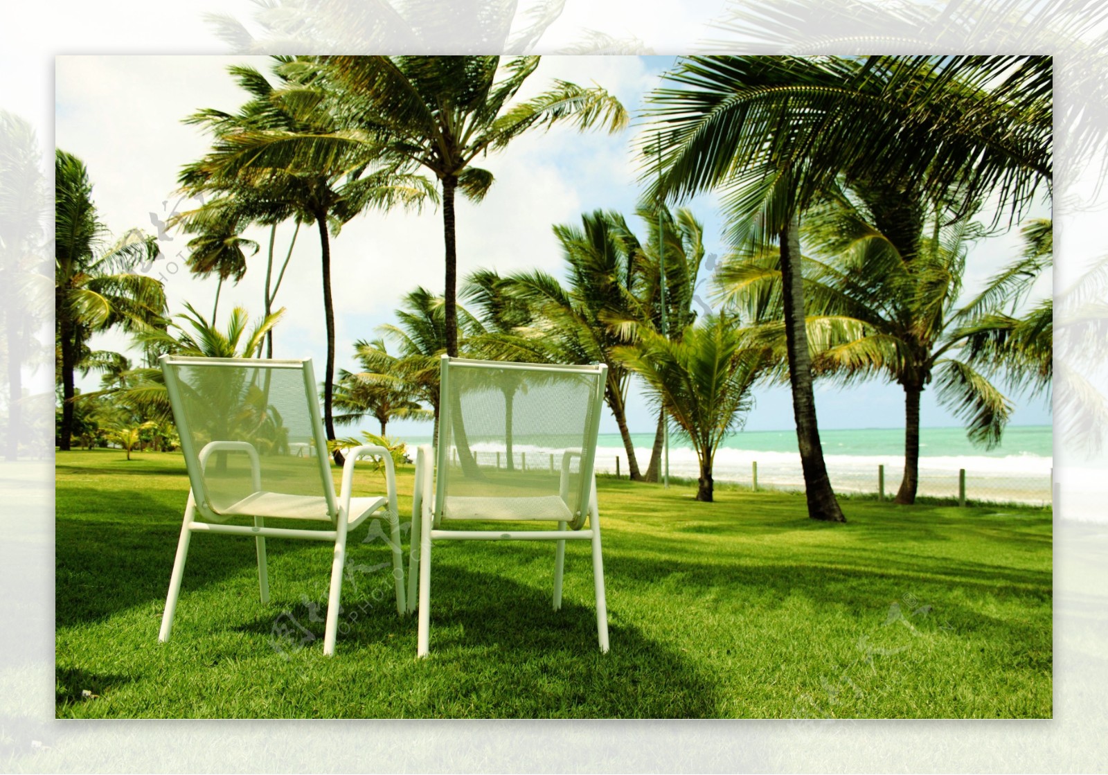 椰树与椅子摄影高清图片