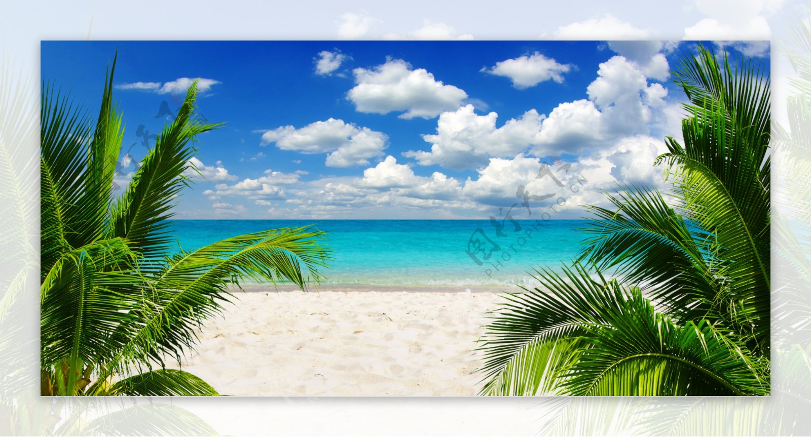 美丽沙滩椰树风景