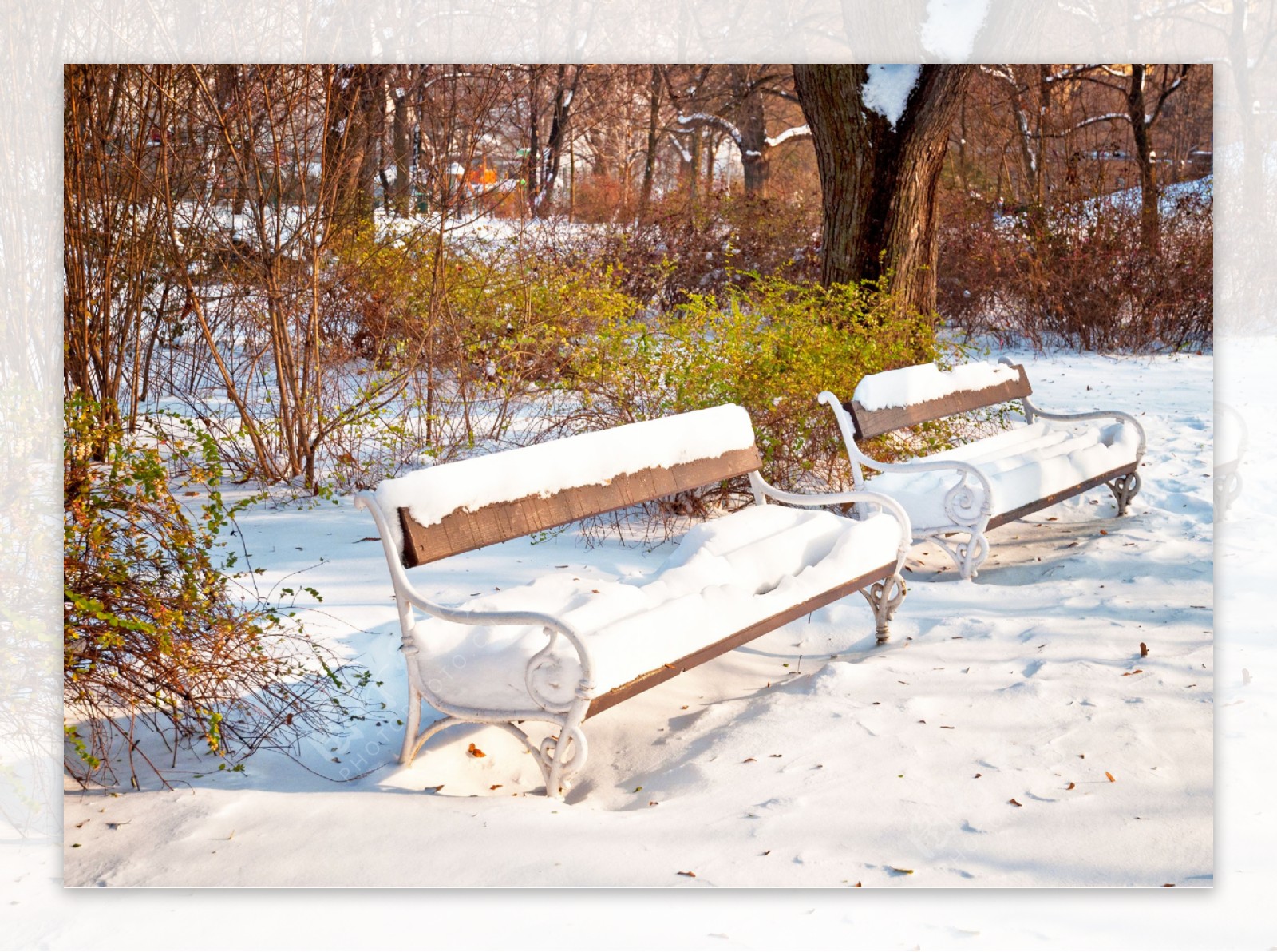 公园椅子冬天风景