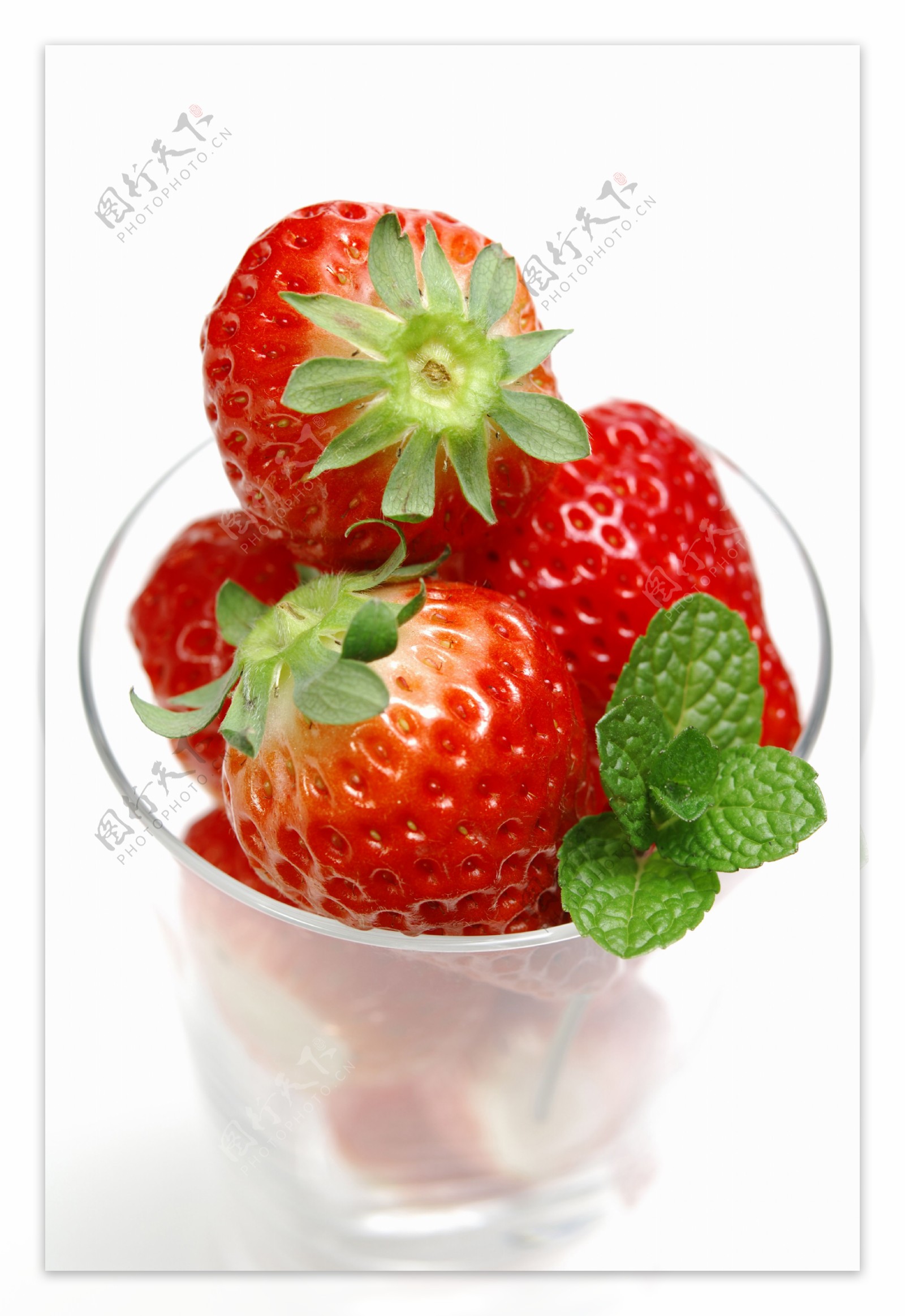 草莓069