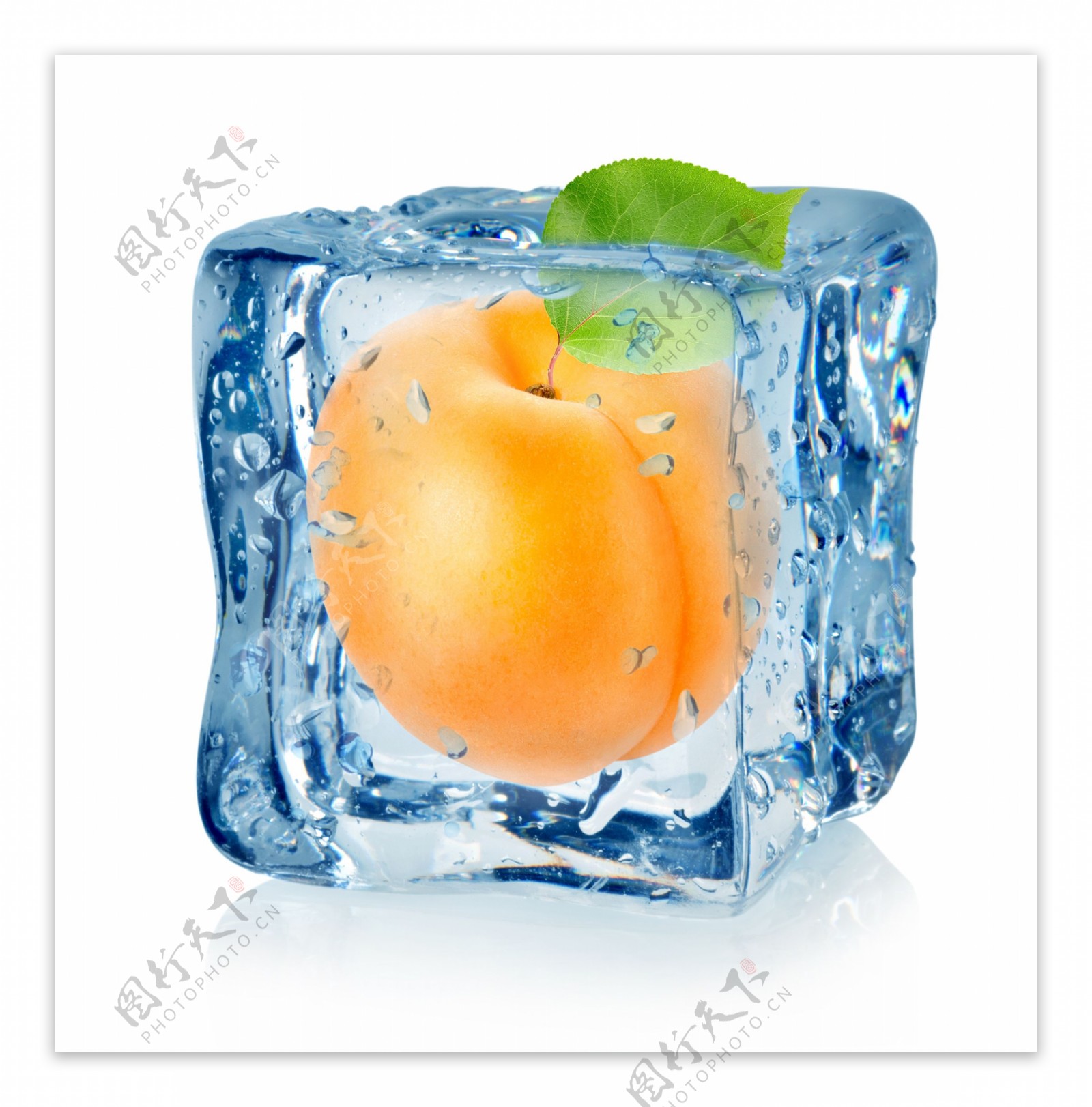 冰冻的杏子