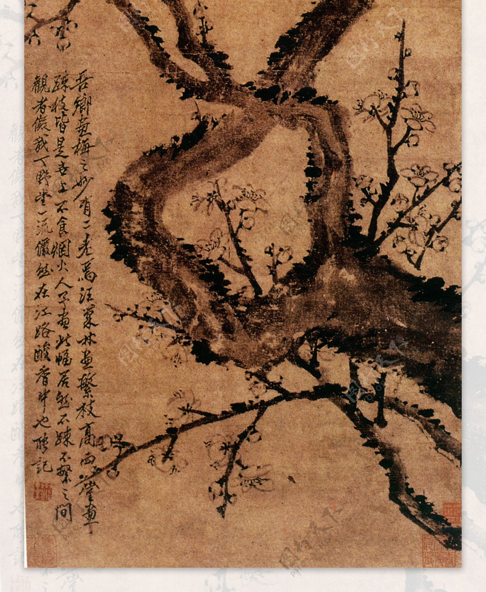 梅花图花鸟画中国古画0535