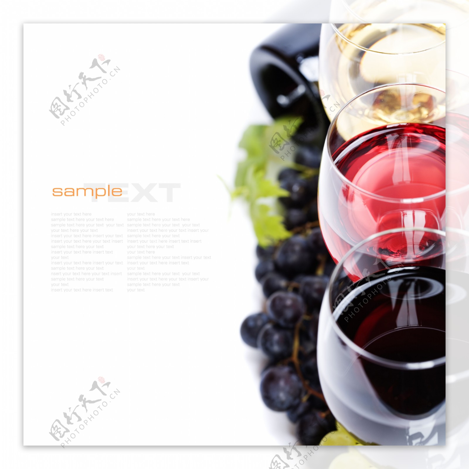 葡萄与葡萄红酒
