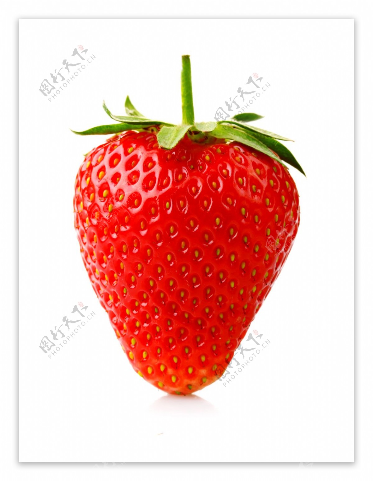 新鲜的草莓水果高清图片6