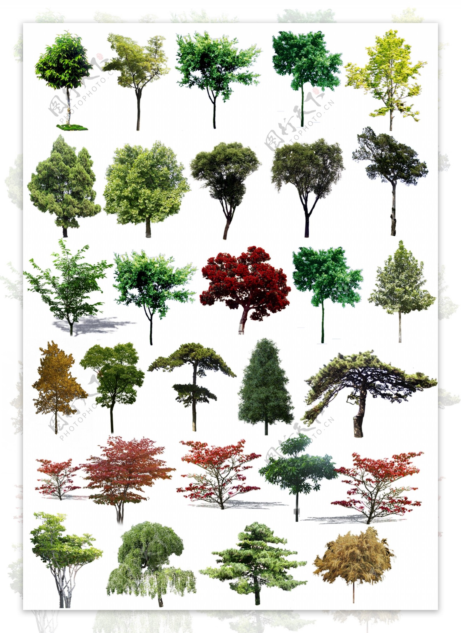 素材树景观效果图图片