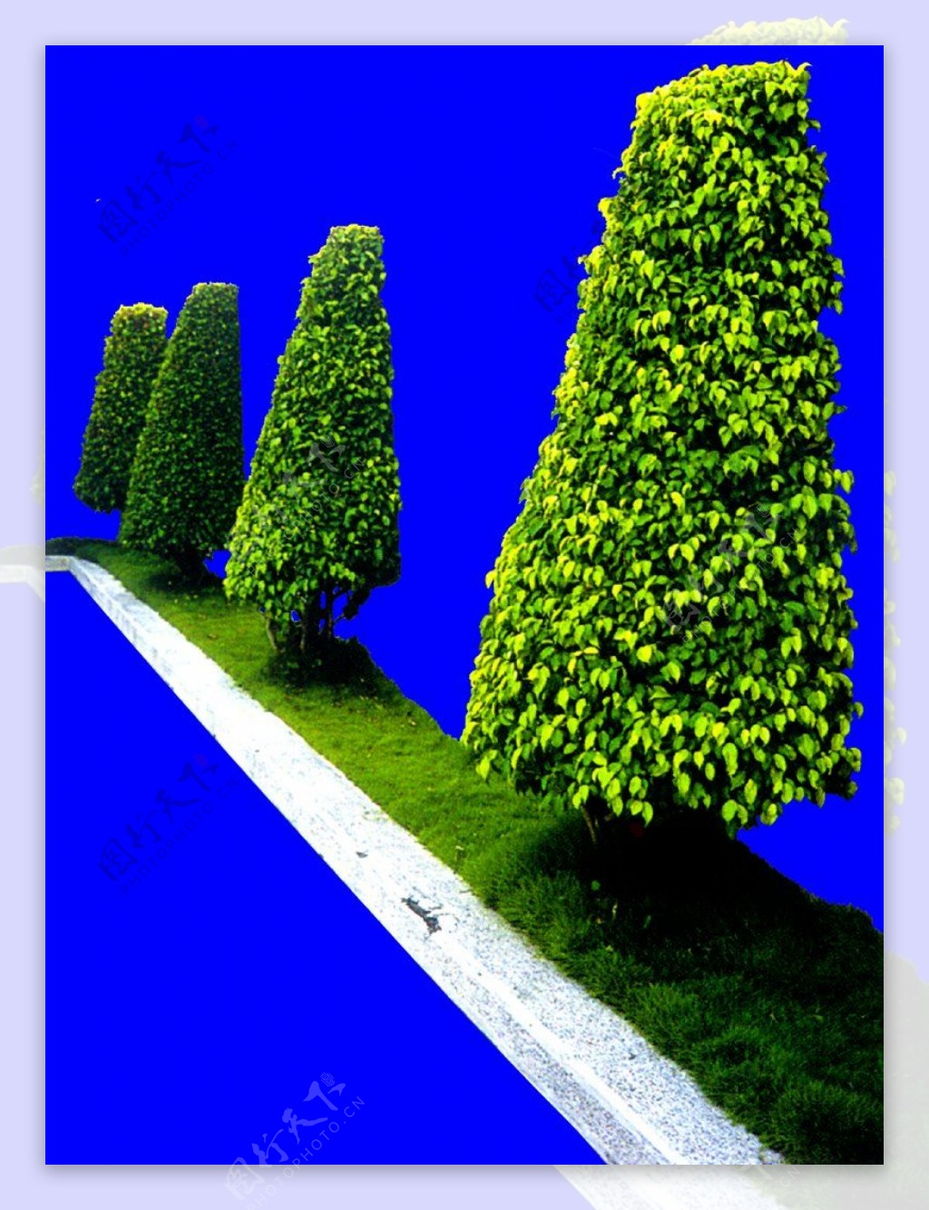 灌木植物贴图素材建筑装饰JPG2019