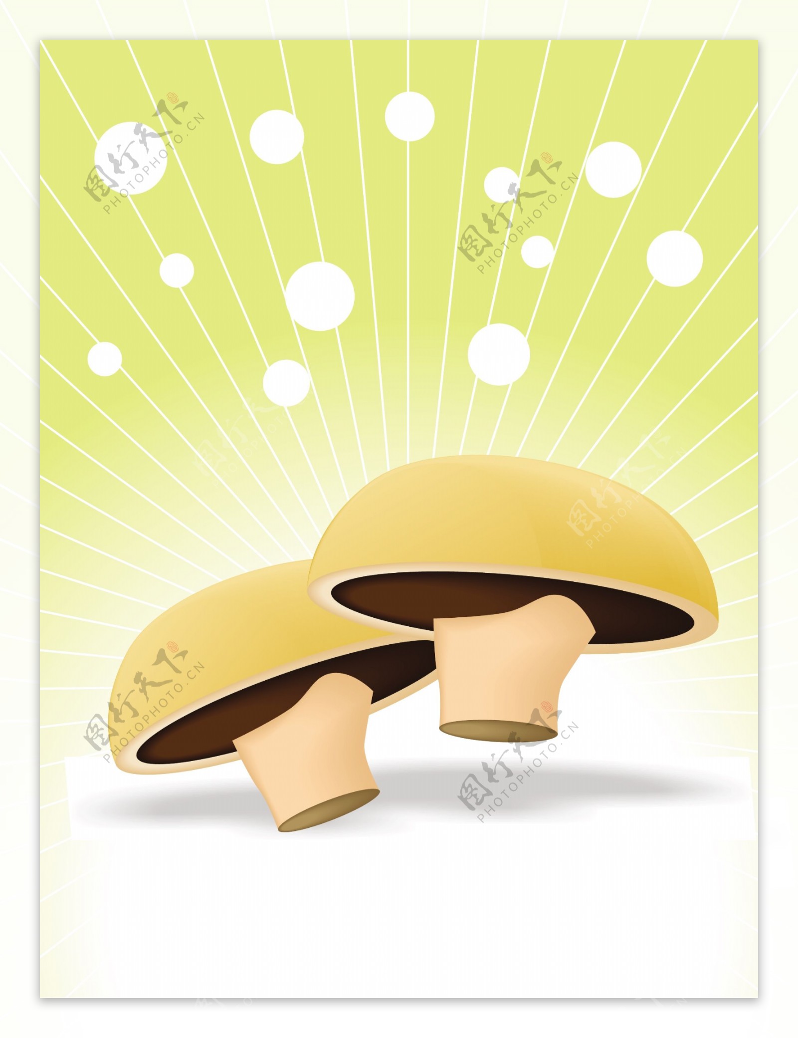 蘑菇矢量插画