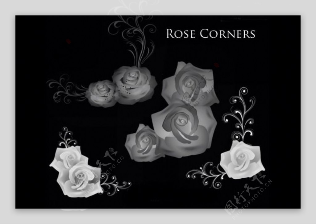 玫瑰花边框和花朵装饰PS笔刷