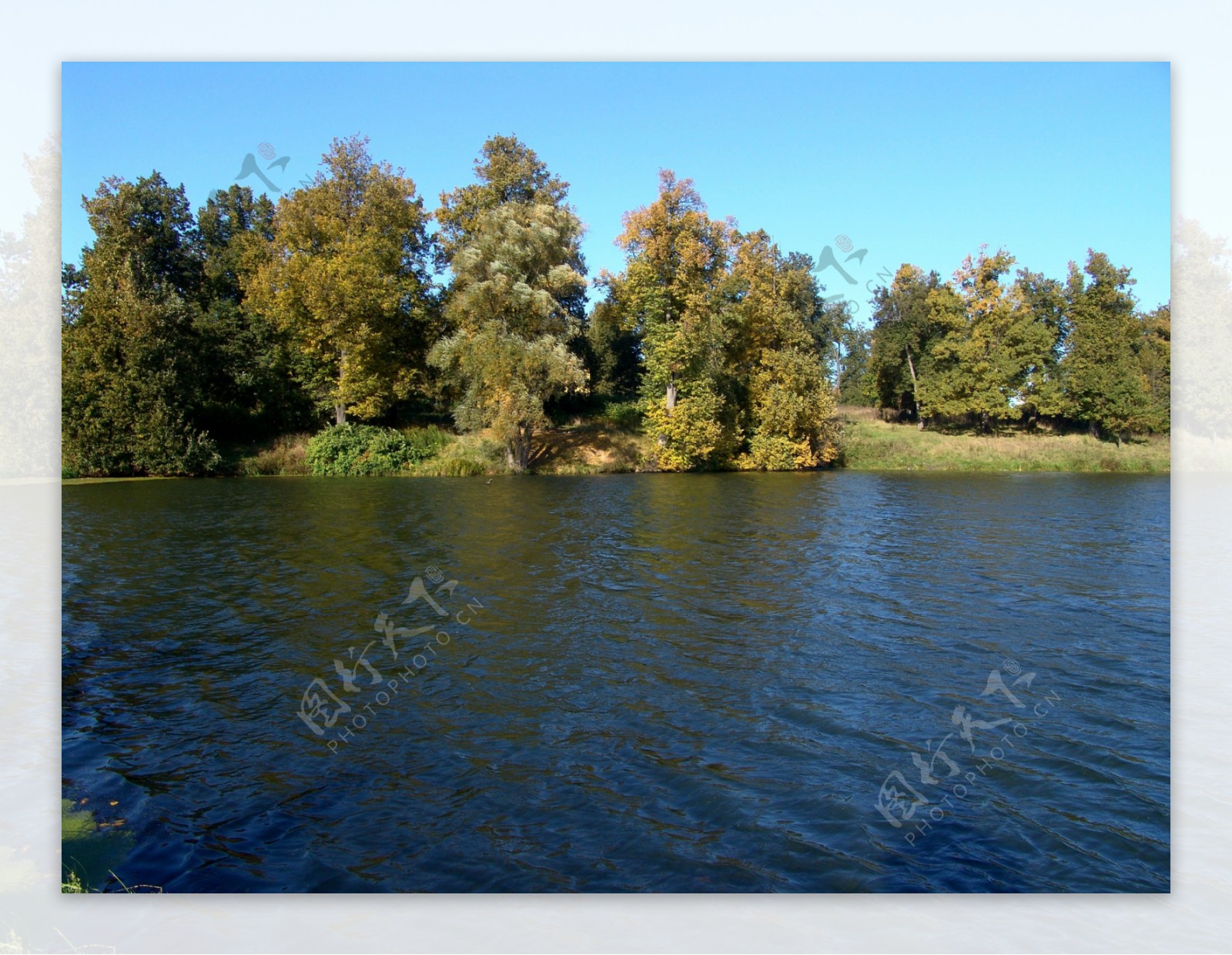 干净的湖水秋天树林风景图片