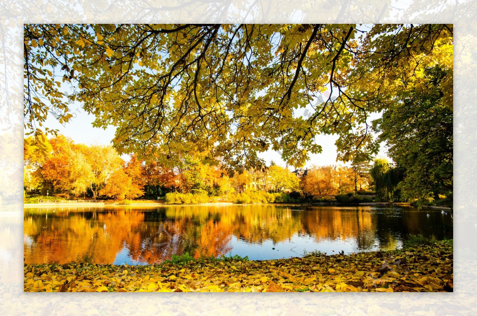 秋季湖泊风景图片
