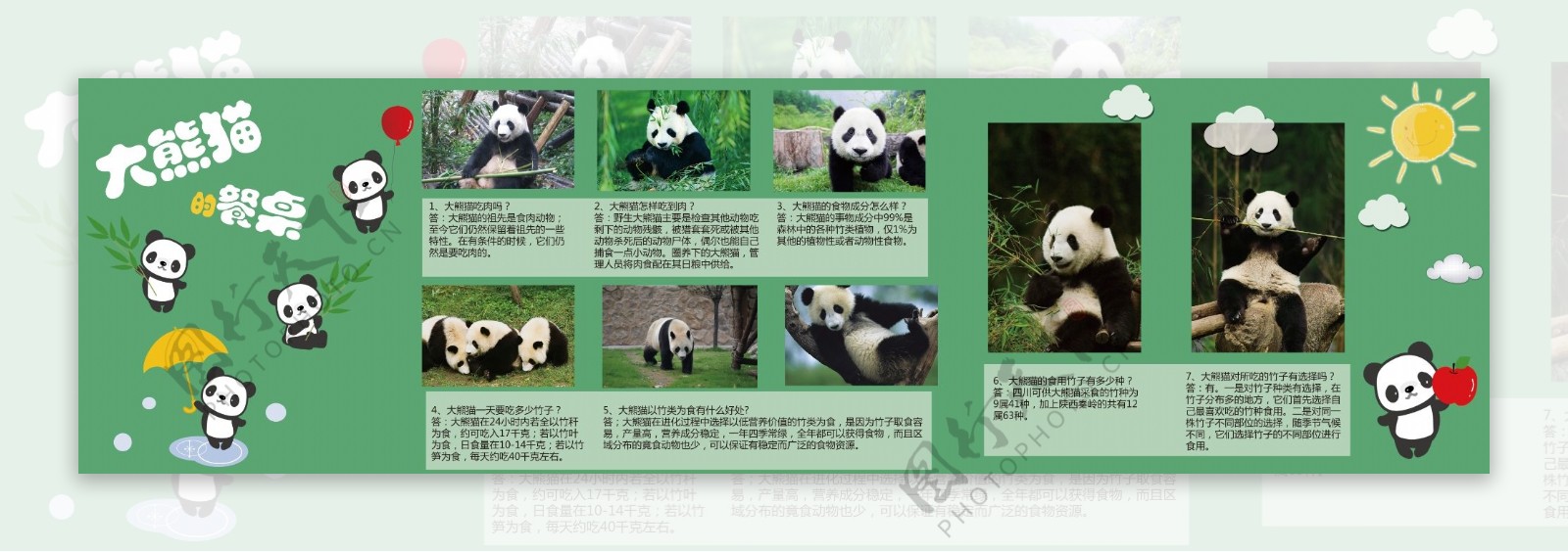 大熊猫海报设计