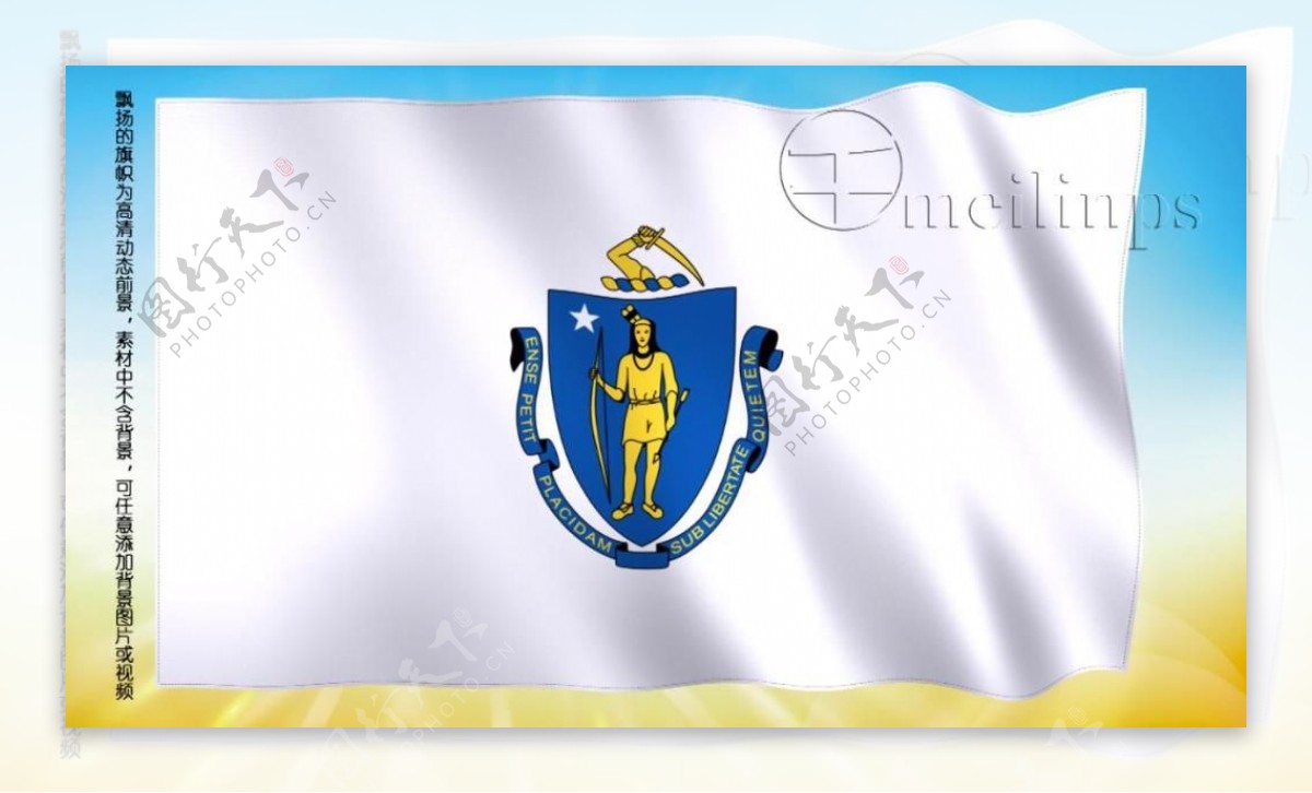 动态前景旗帜飘扬242马萨诸塞州