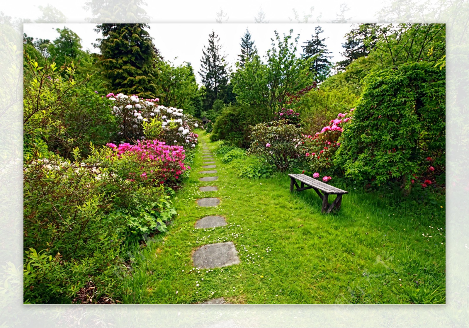 美丽花园植物风景