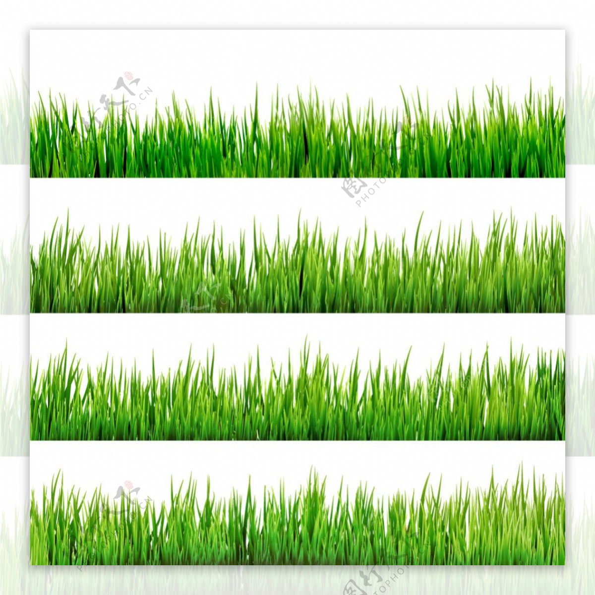 写实绿草边框设计矢量素材