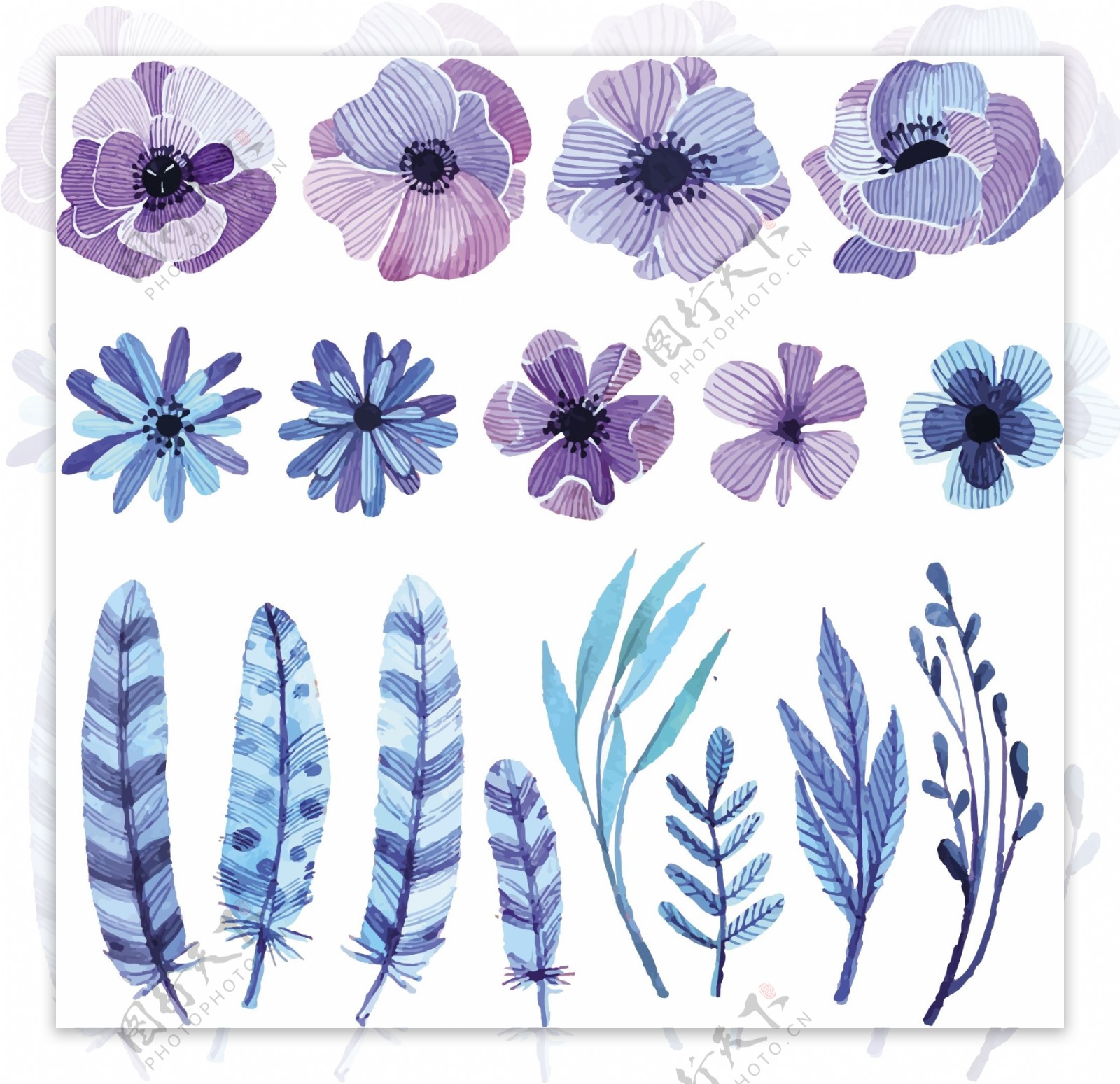 蓝紫色花朵树叶