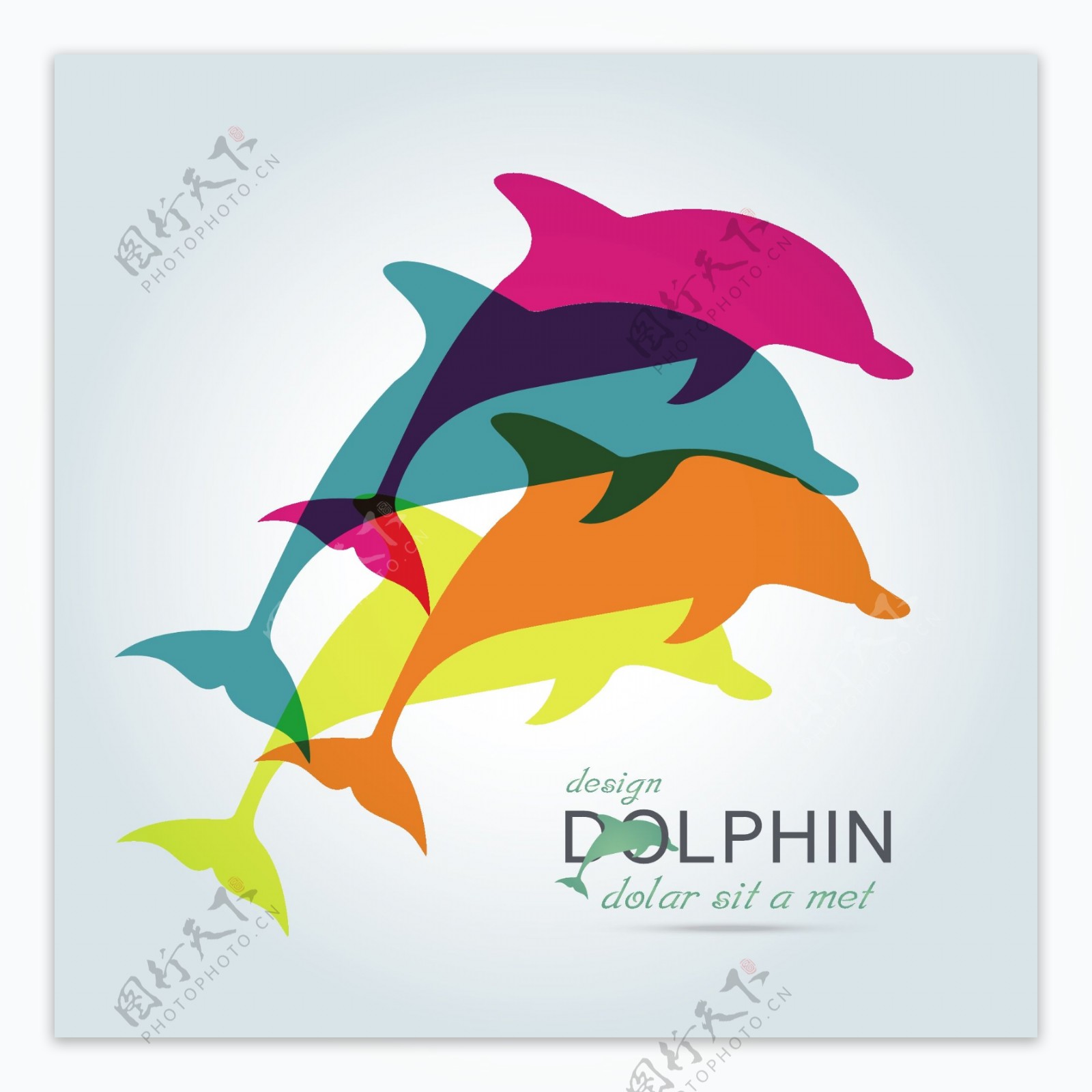 彩色的海豚重叠图案