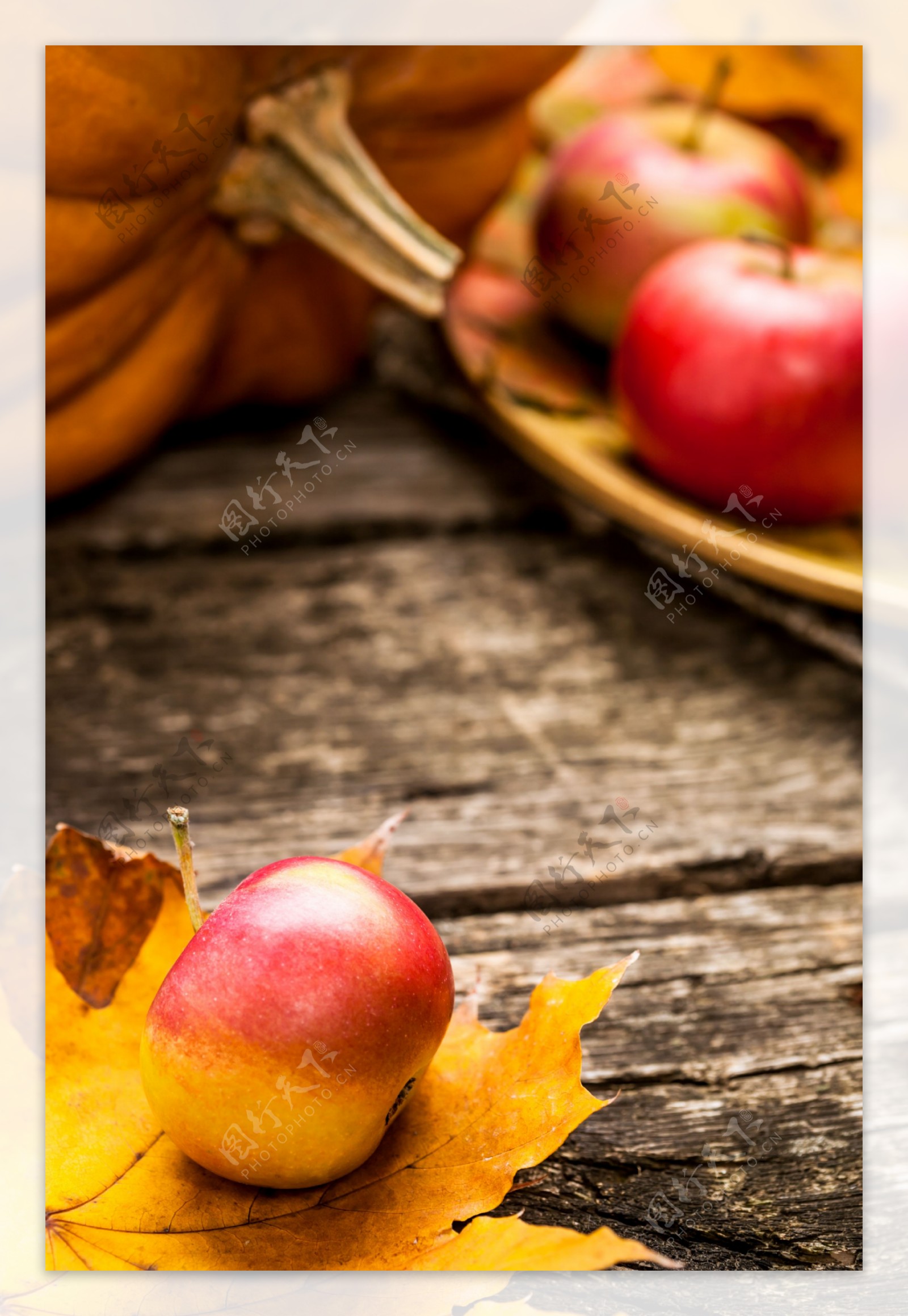 秋天树叶与苹果摄影