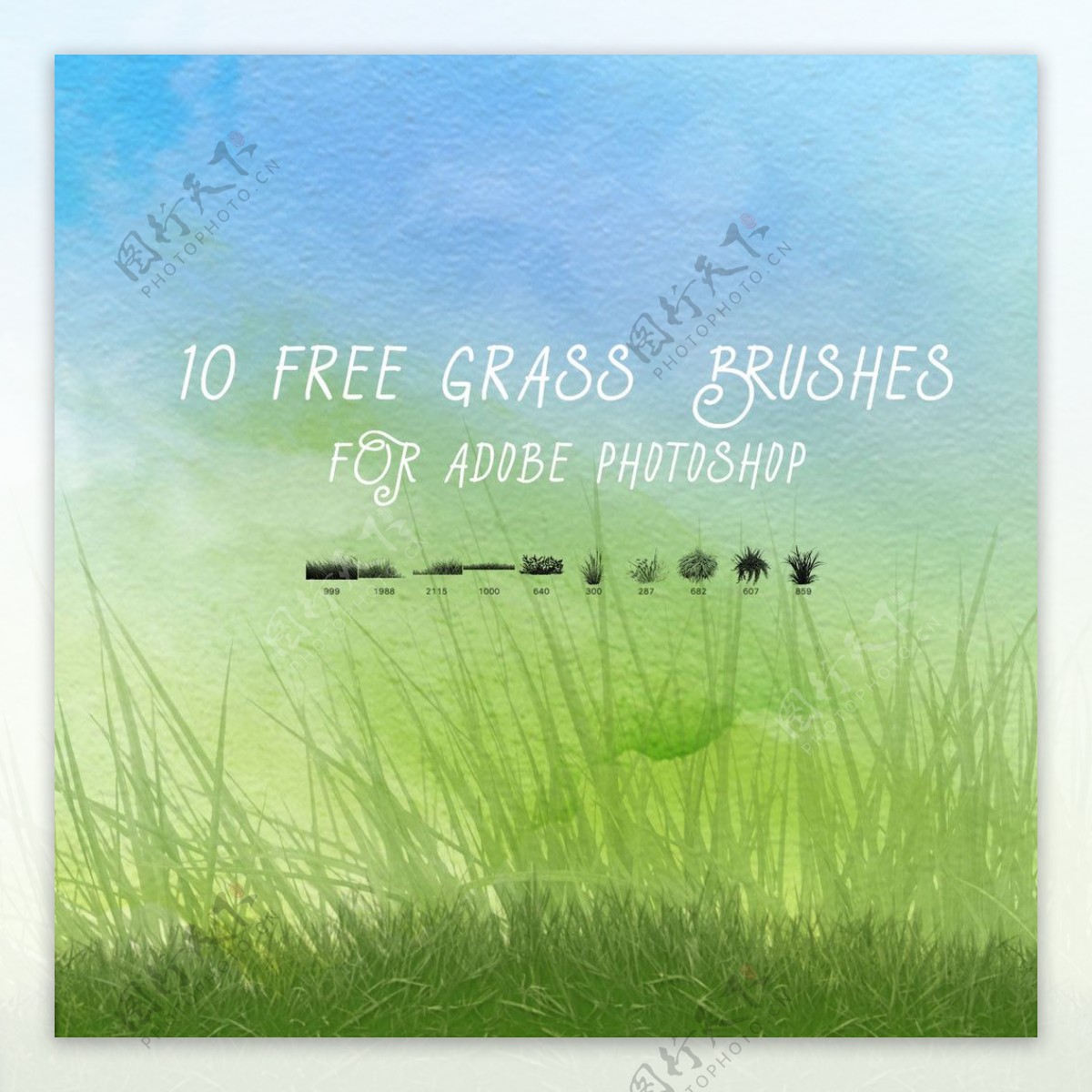 10个免费的绿色小草青草草坪Photoshop笔刷下载