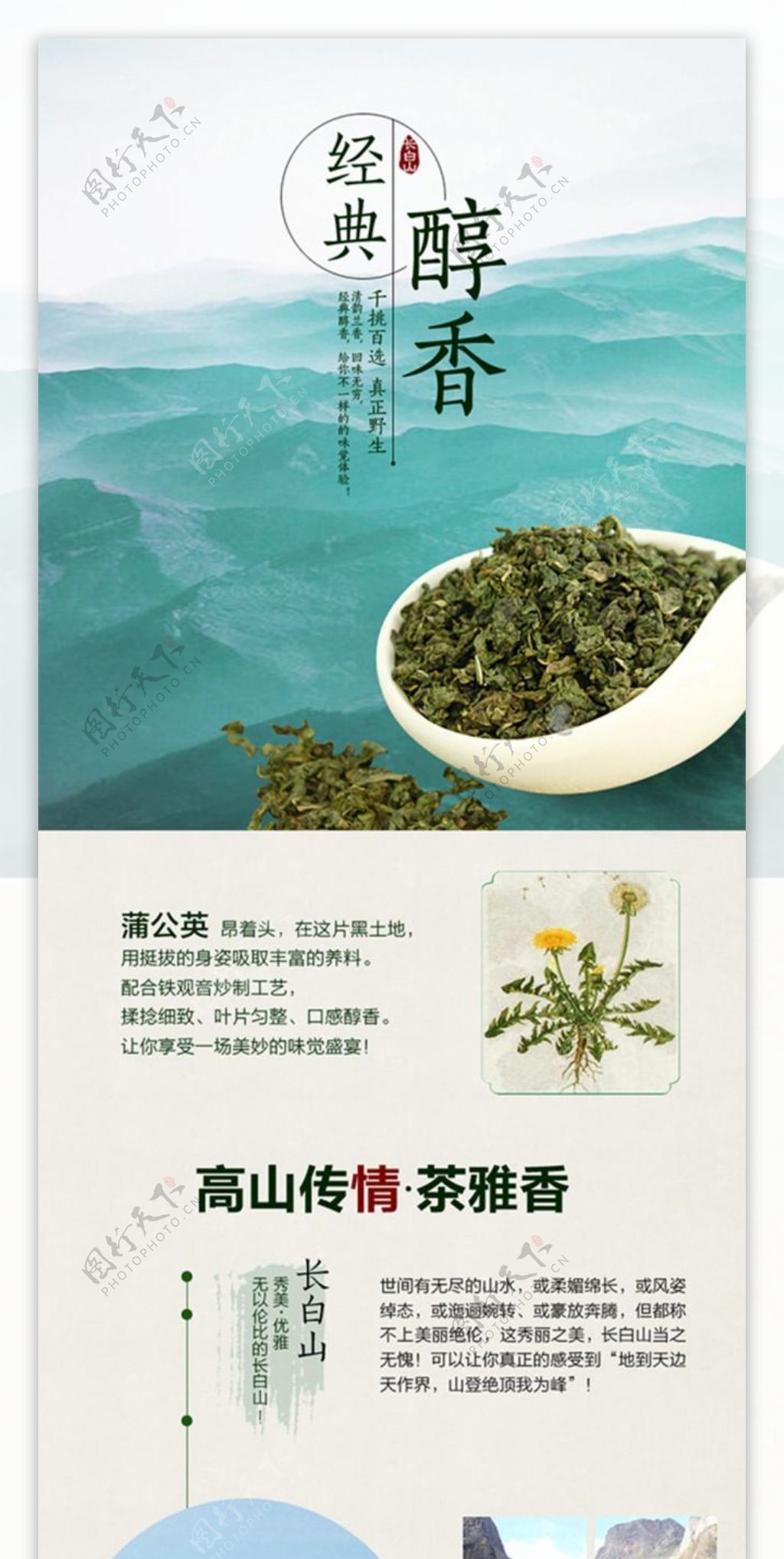 蒲公英根茶