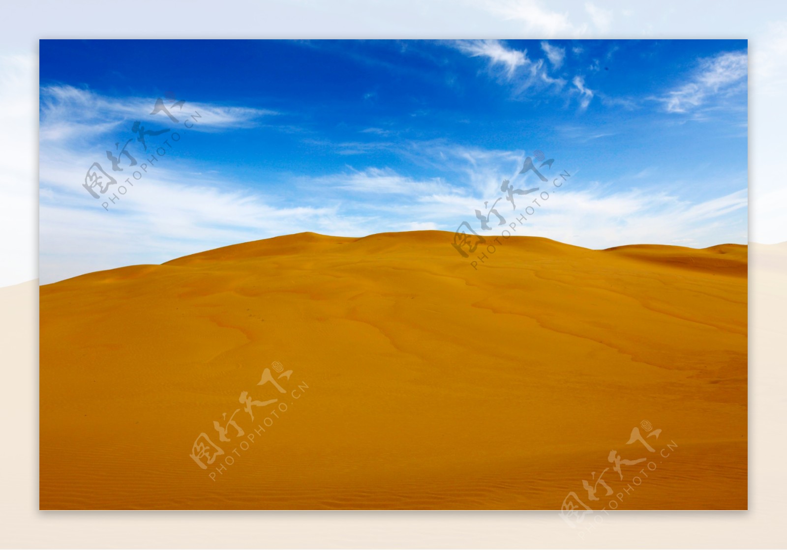 金色沙漠风景