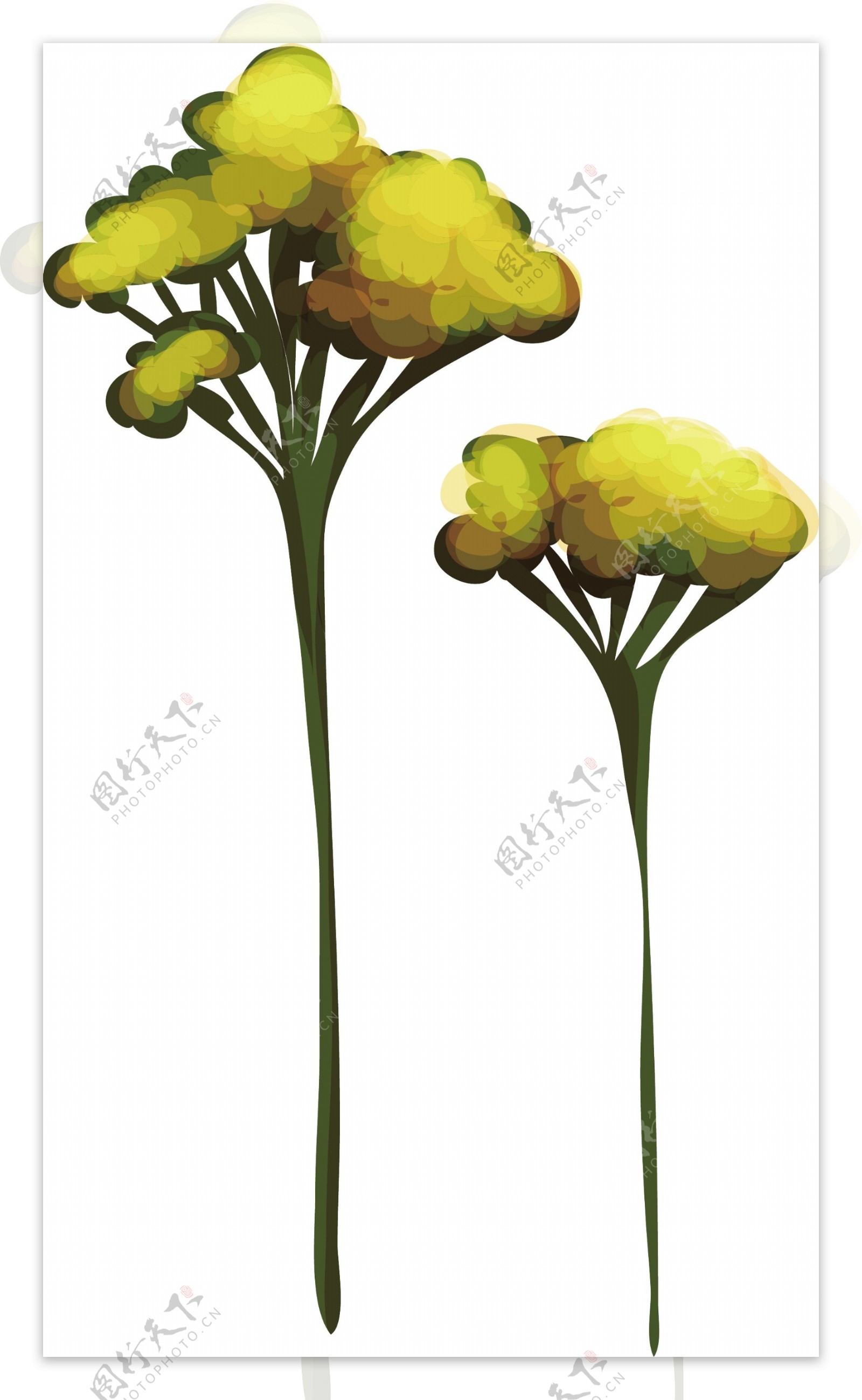 黄色油菜花卡通植物矢量素材