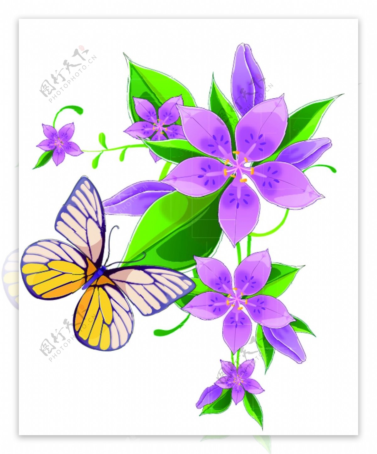 花卉蝴蝶图案设计