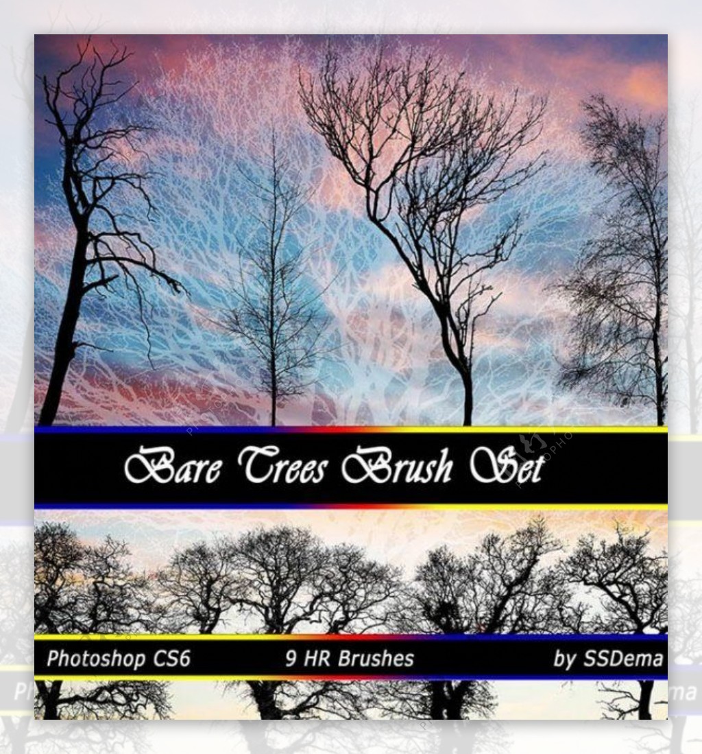9种真实的树木剪影阴影效果photoshop笔刷素材