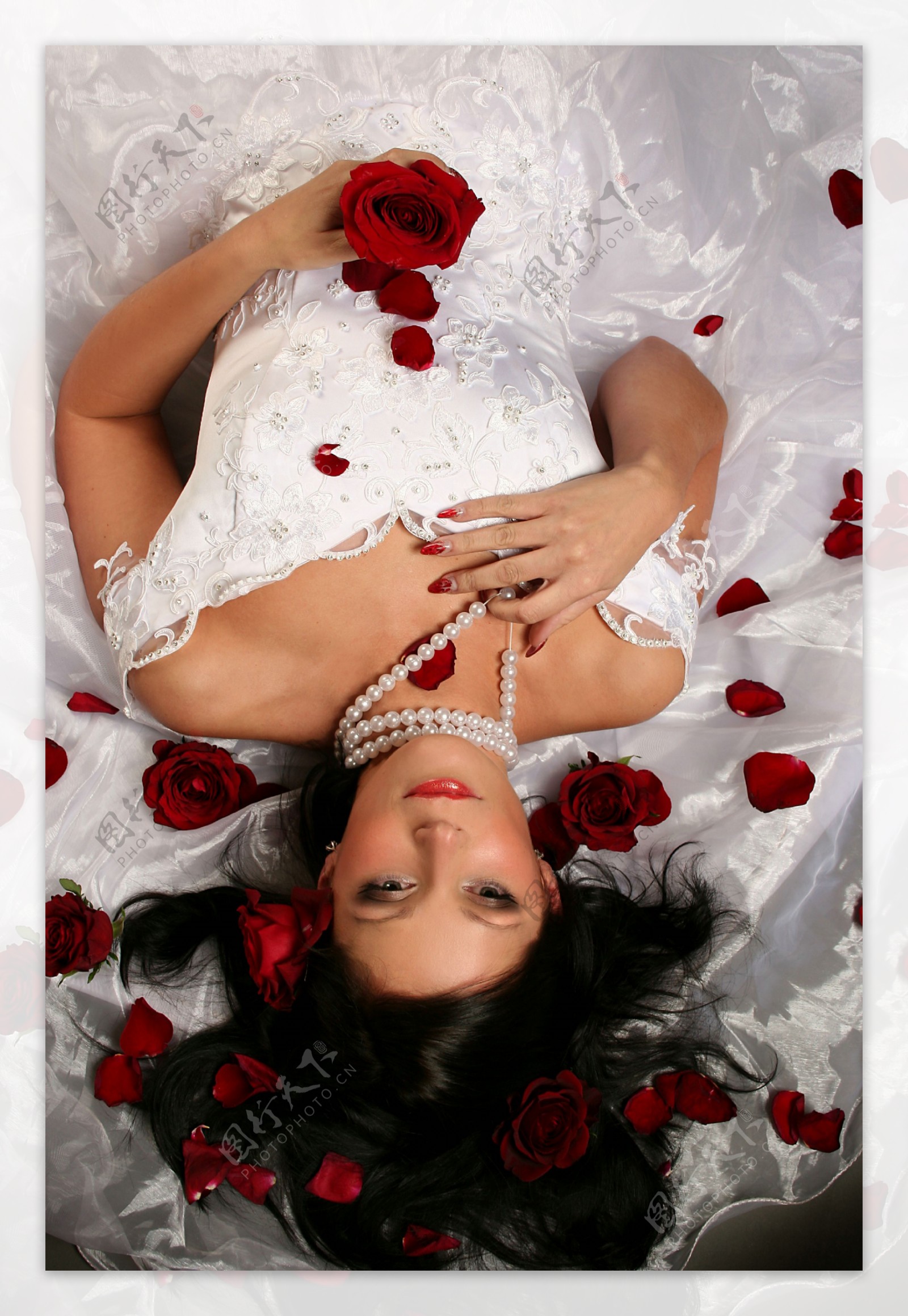 玫瑰花中躺着的外国新娘图片
