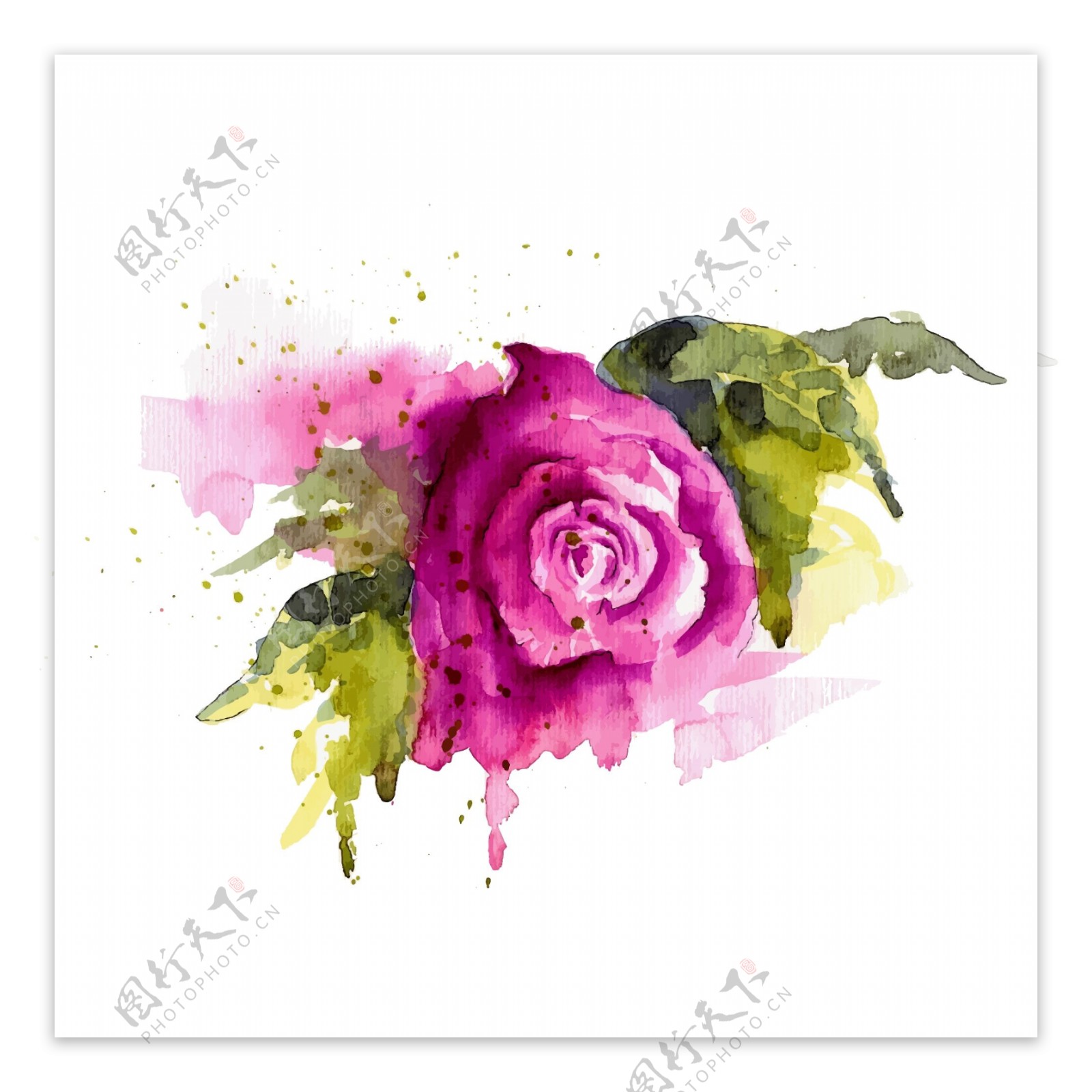 创意水彩绘玫瑰花
