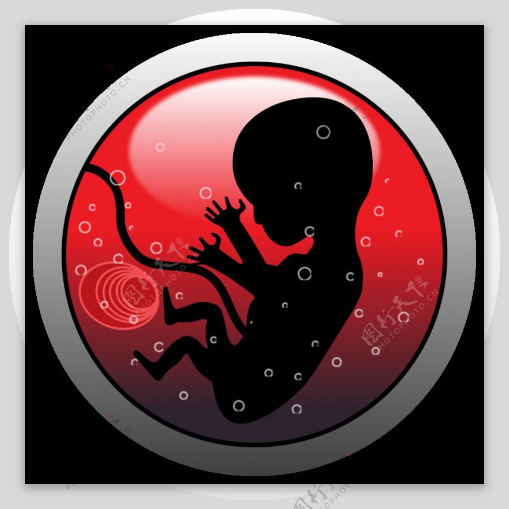 人类胚胎轮廓