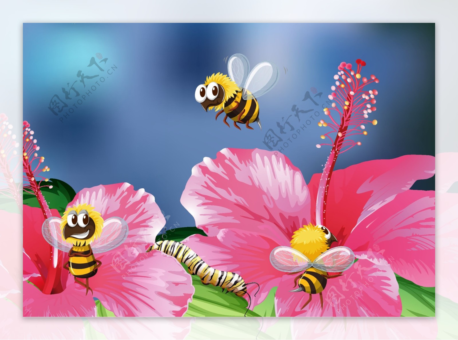 蜜蜂在花朵上采蜜插图