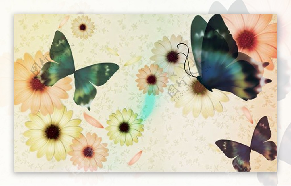 手绘水彩蝴蝶设计