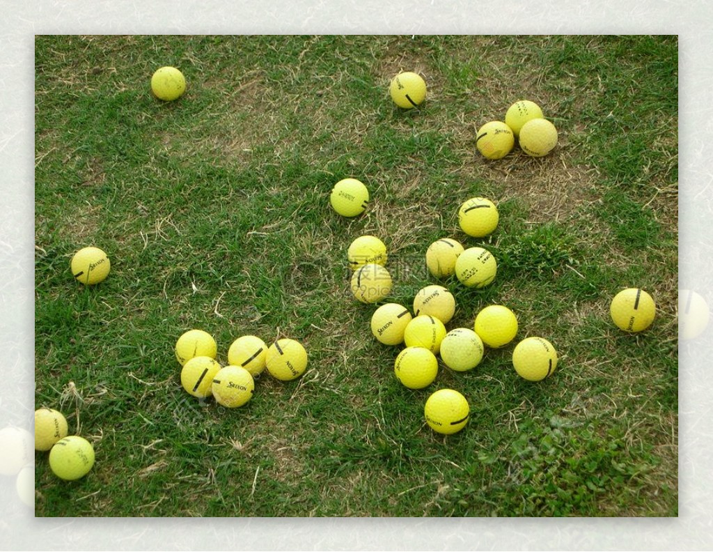 yellowgolfballs.JPG