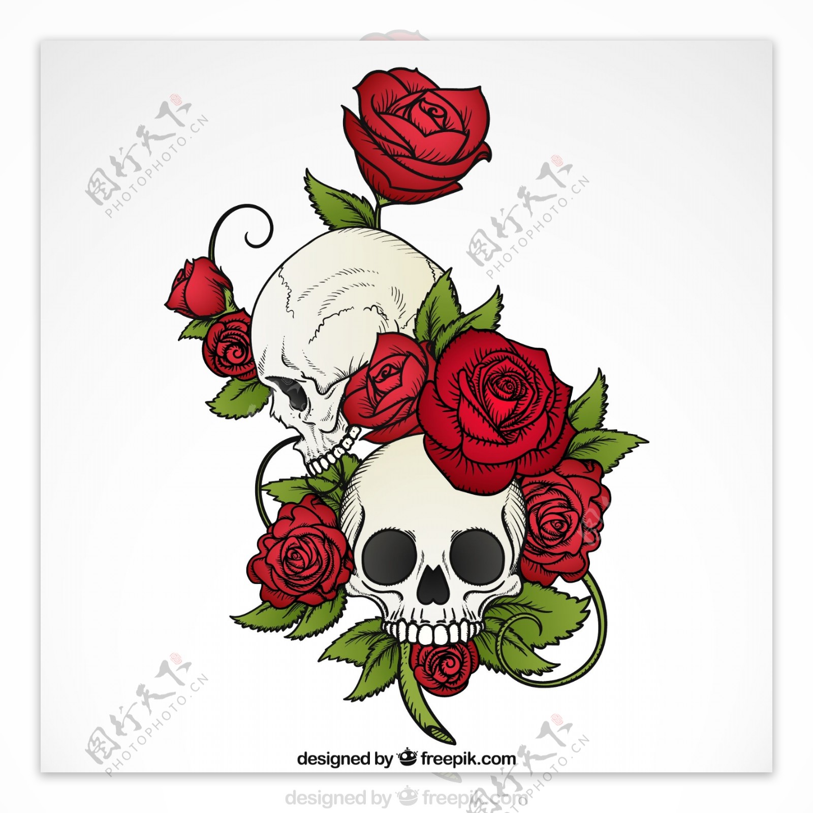 玫瑰和树叶手绘头骨的背景