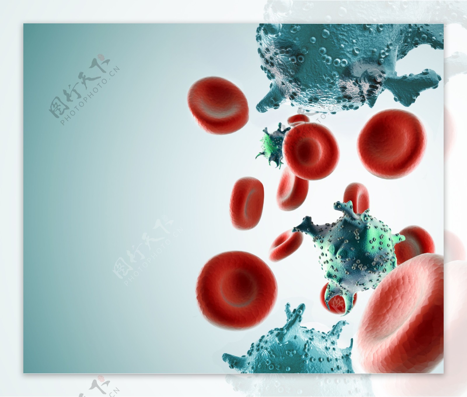 血细胞与病毒图片