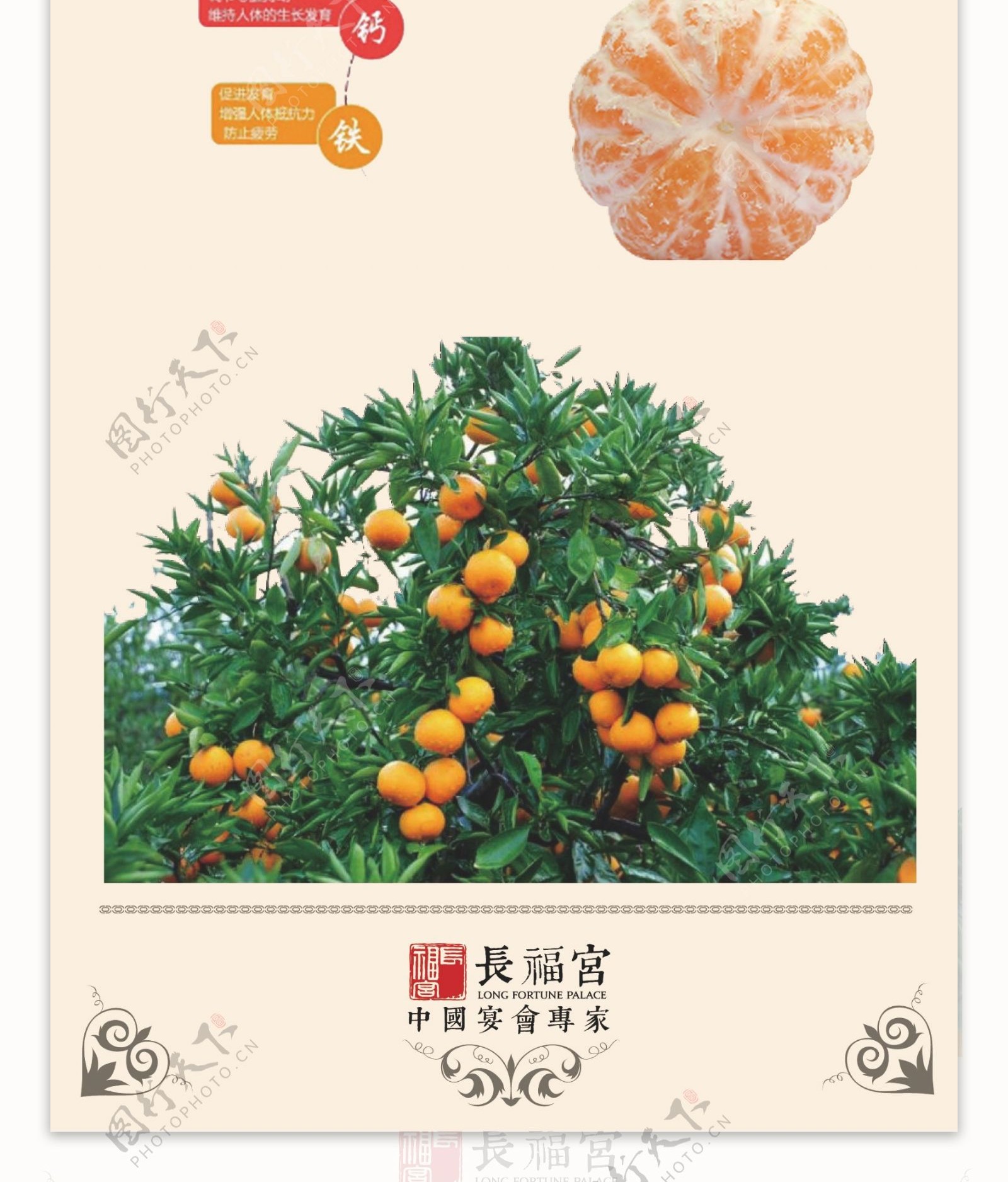 橘子营养价值橘子宣传海报