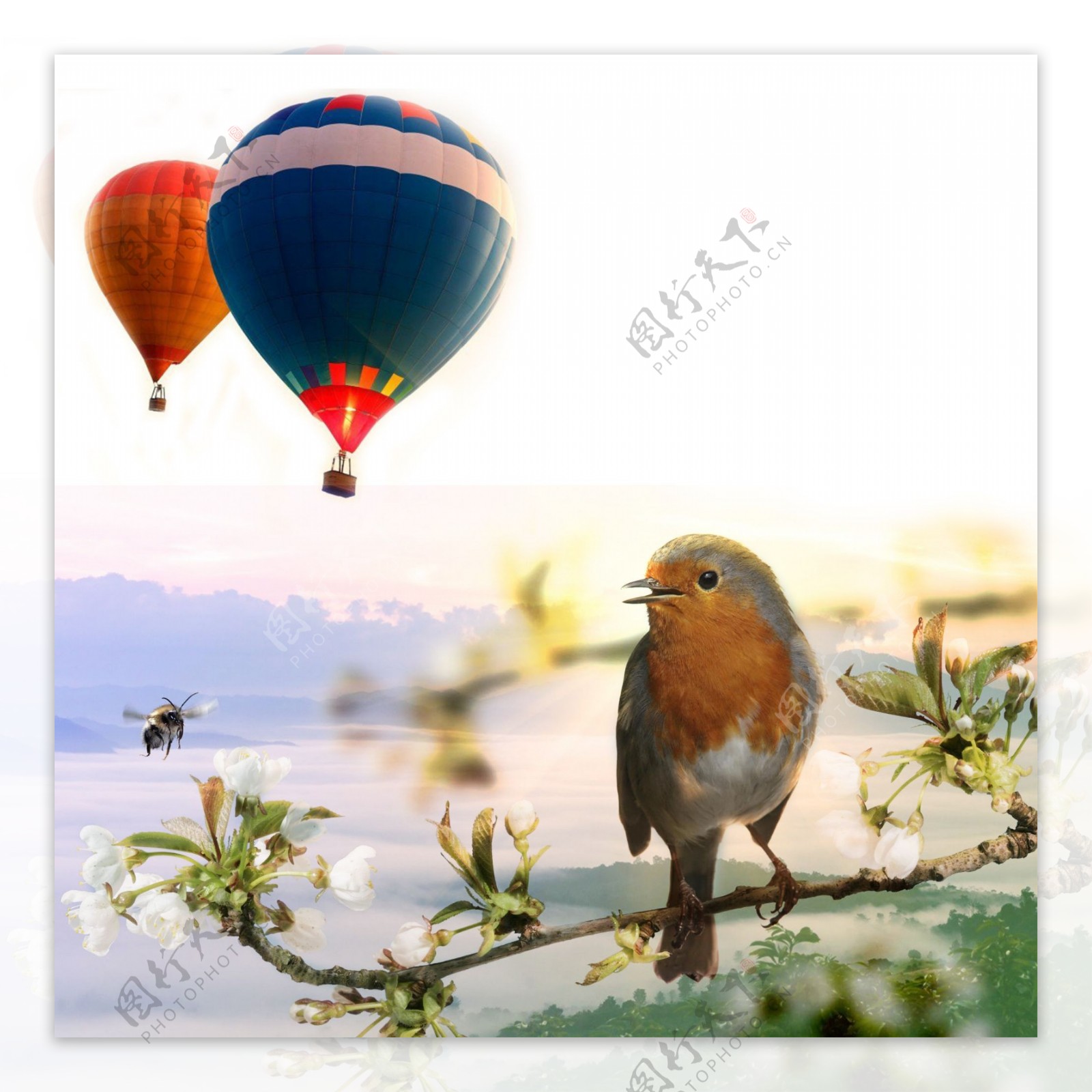 鸟花热气球广告背景素材