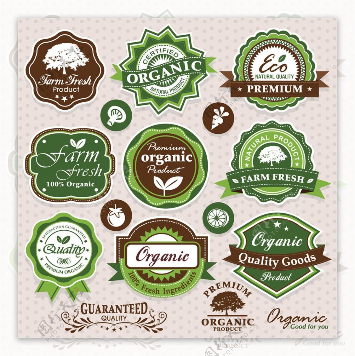 绿色质量食品标签图片