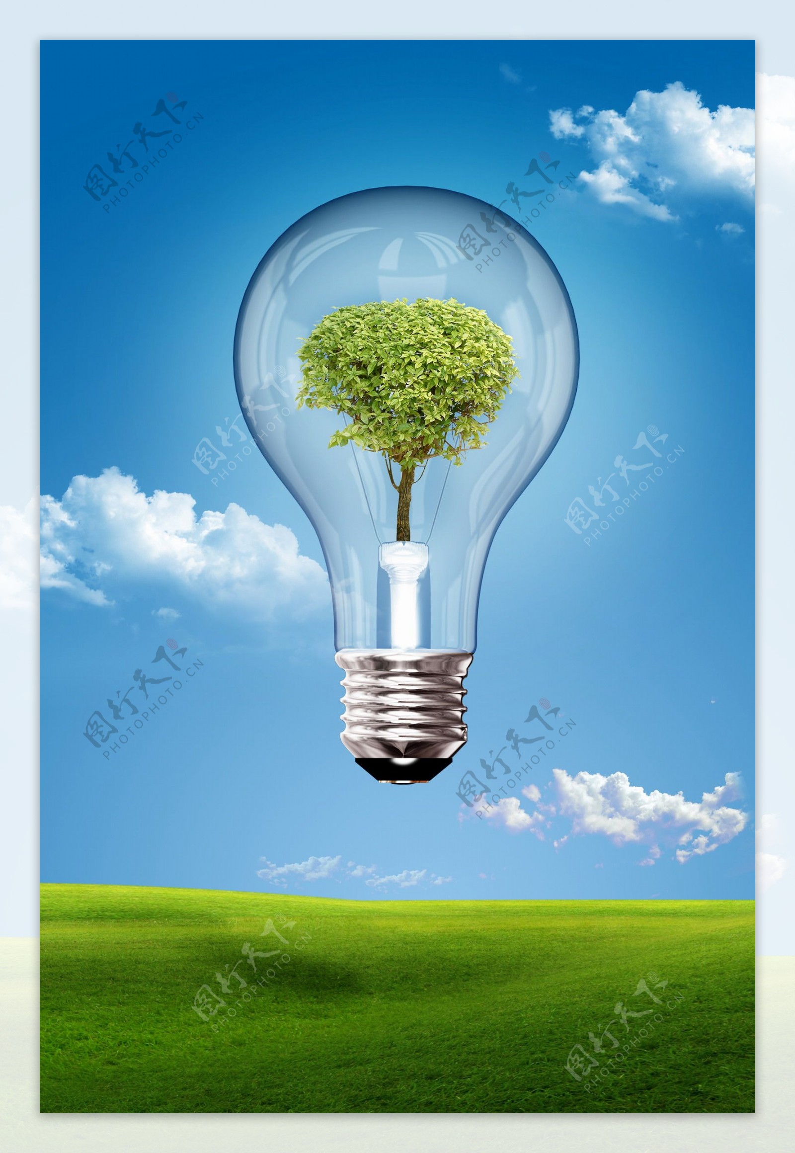 创意电灯泡绿树图片