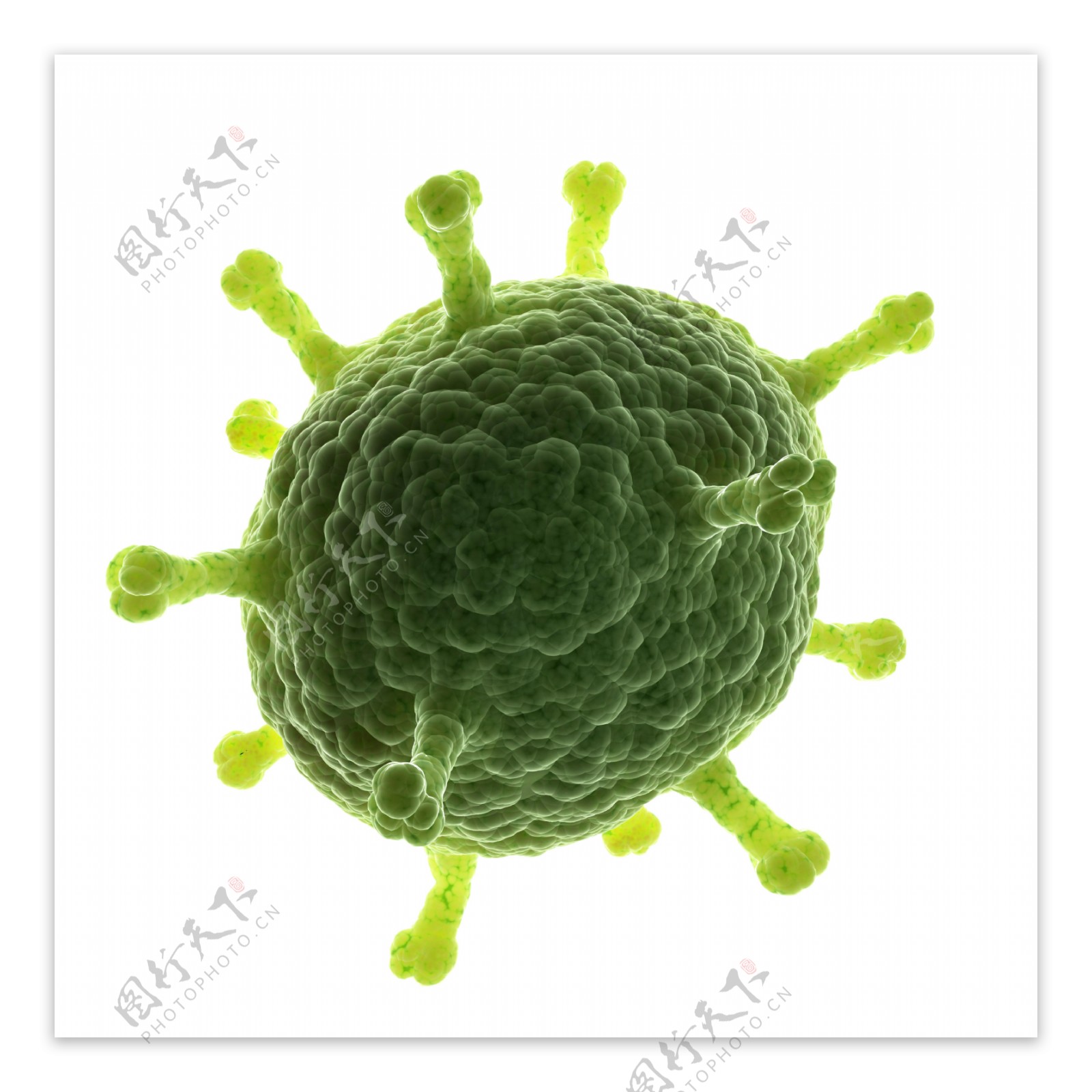 球状生物病毒图片