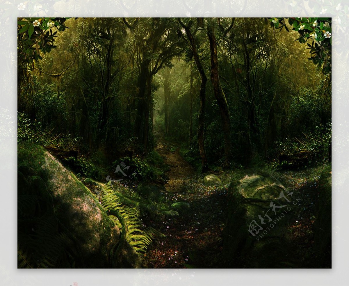 小路树林背景图片