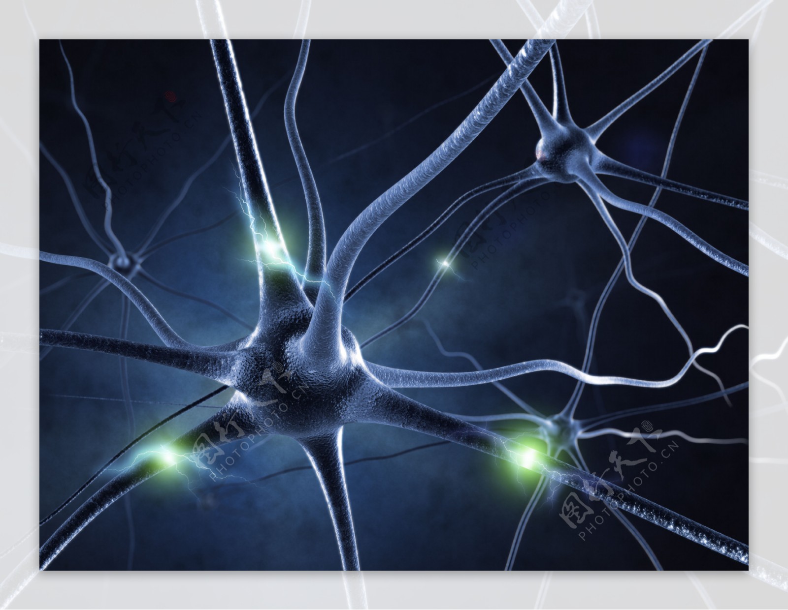 传递的神经元图片
