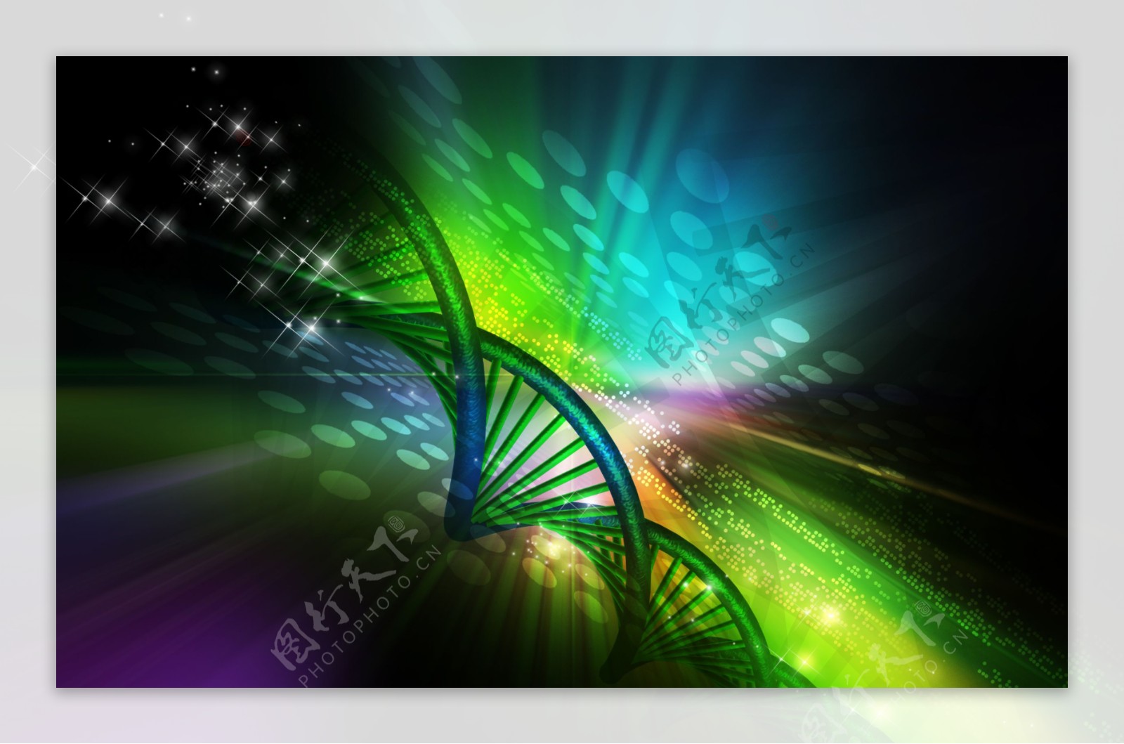 DNA结构图与梦幻光斑背景图片